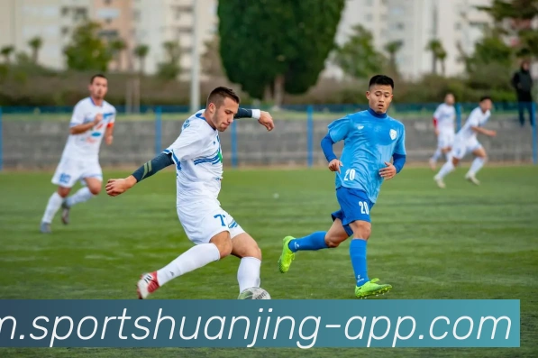 App Interface Preview